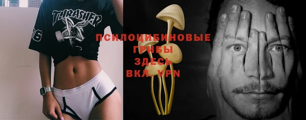 jwh Карпинск