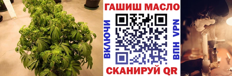 МЕГА зеркало Киржач ТГК жижа