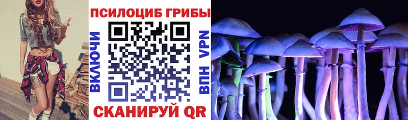 Галлюциногенные грибы Cubensis  Киржач 