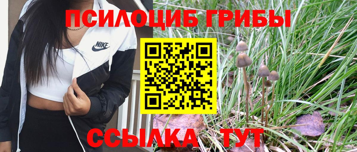 Псилоцибиновые грибы ЛСД Киржач